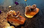 Restaurante Altamar